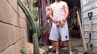 589 golden porn videos